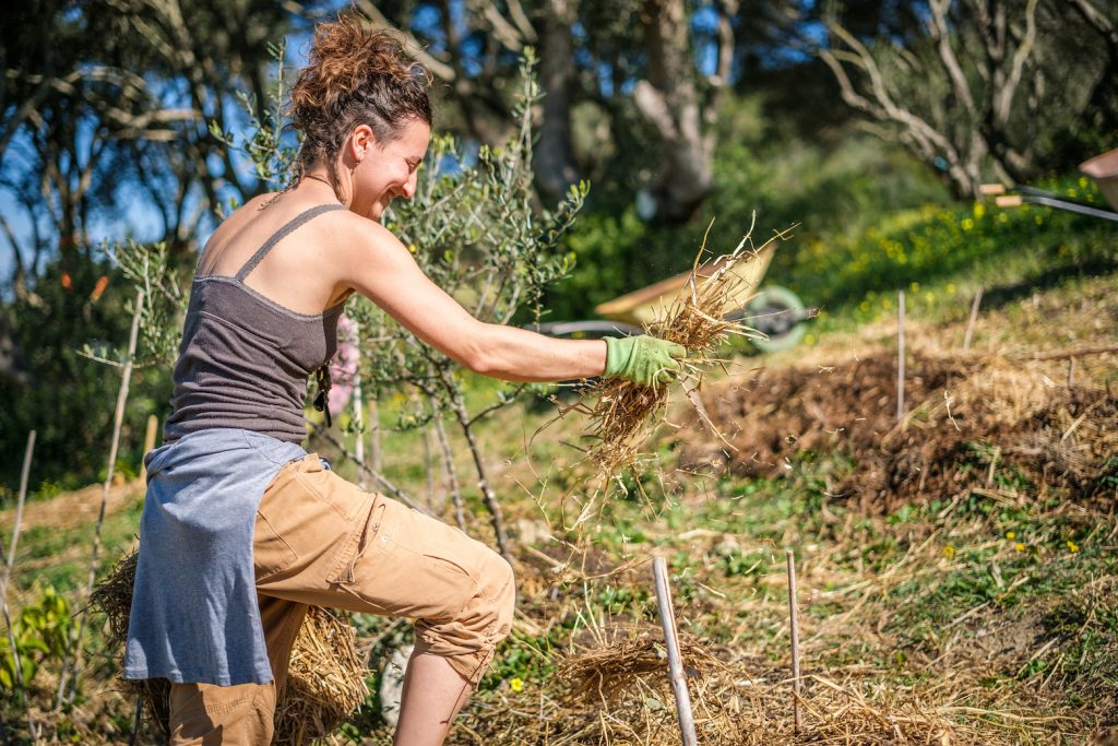A person mulching trees