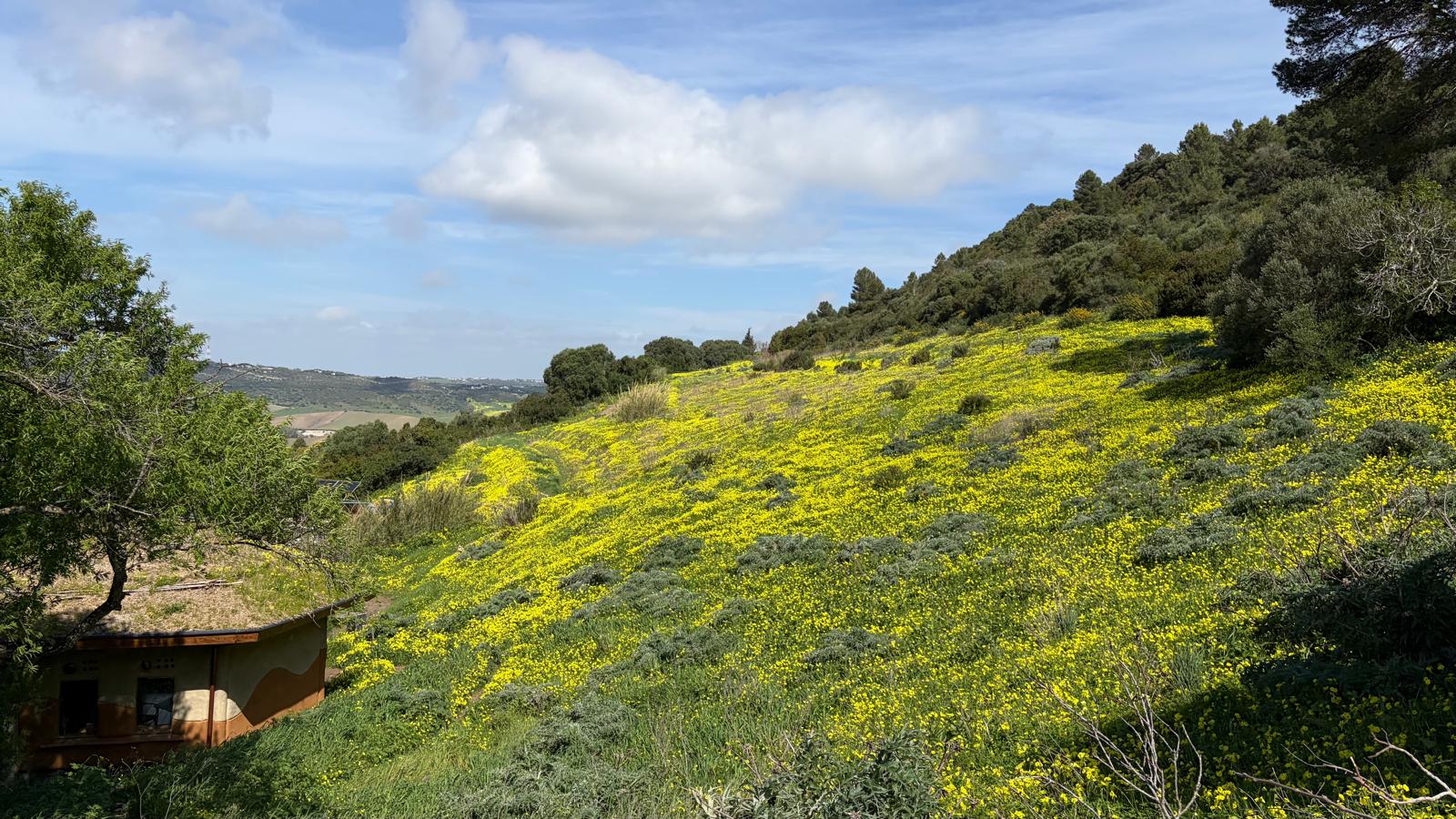 Boletín de noticias abril 2026. Primavera abundante
