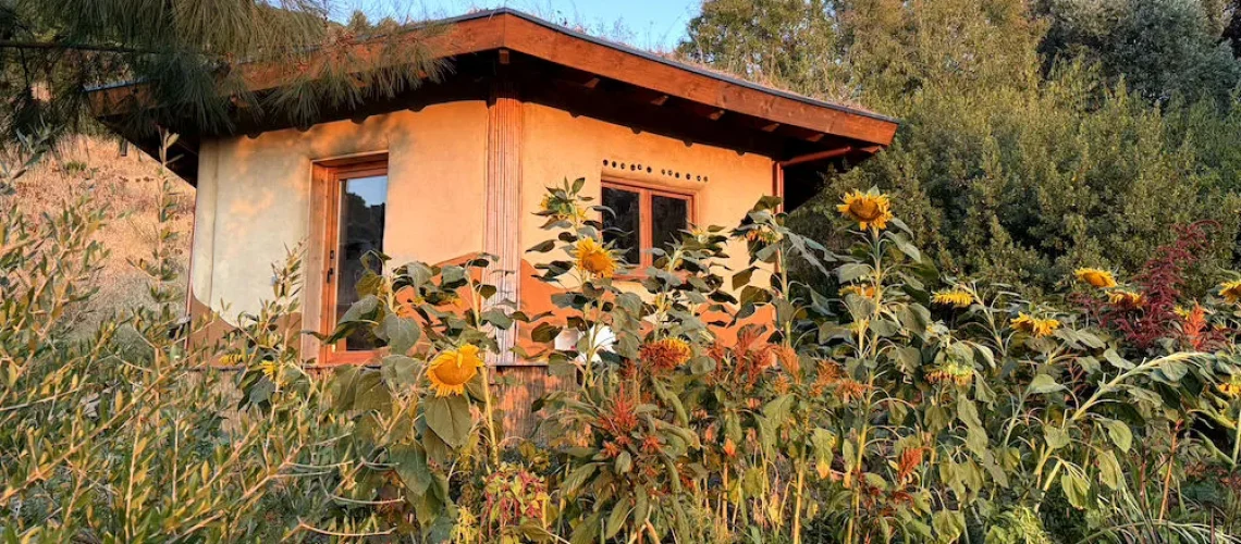 girasoles flexagono